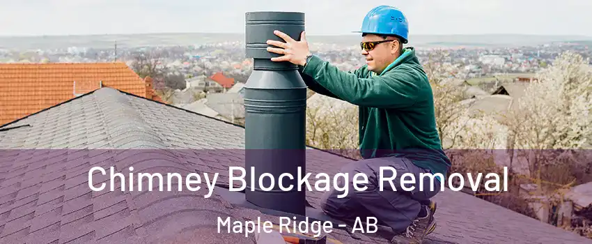  Chimney Blockage Removal Maple Ridge - AB