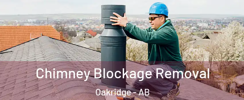  Chimney Blockage Removal Oakridge - AB