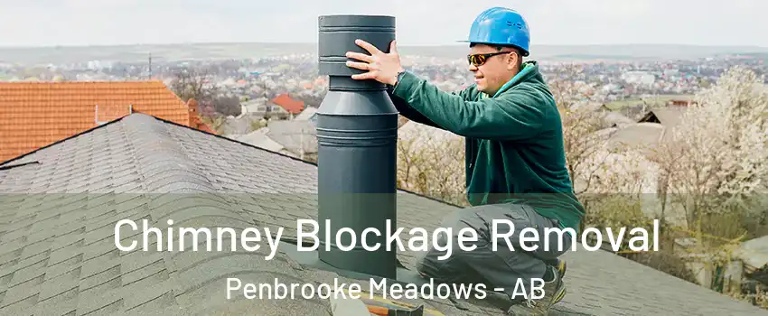  Chimney Blockage Removal Penbrooke Meadows - AB