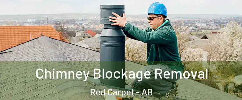  Chimney Blockage Removal Red Carpet - AB