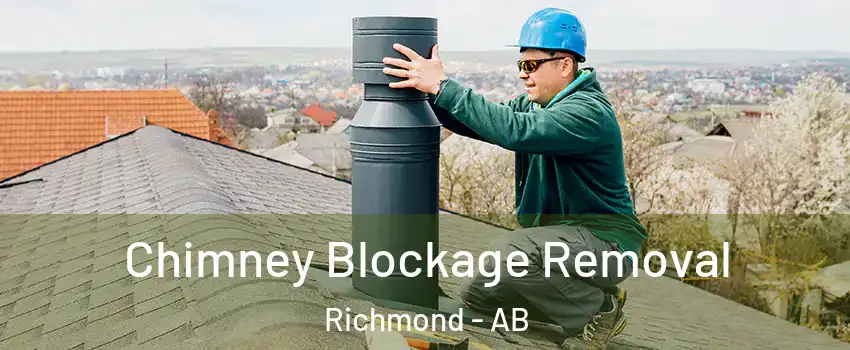  Chimney Blockage Removal Richmond - AB