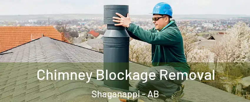  Chimney Blockage Removal Shaganappi - AB