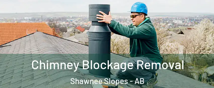  Chimney Blockage Removal Shawnee Slopes - AB