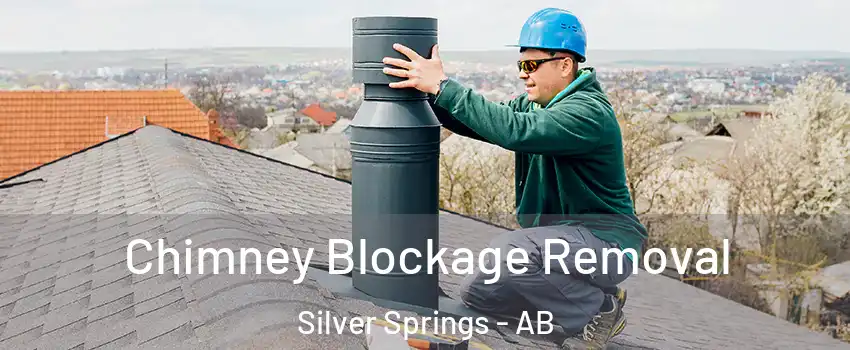  Chimney Blockage Removal Silver Springs - AB