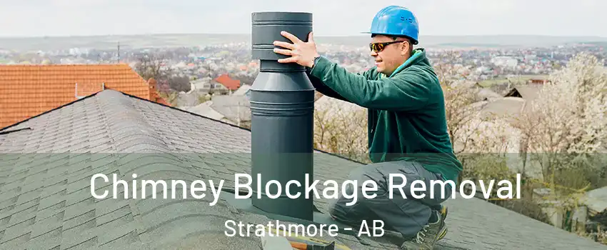  Chimney Blockage Removal Strathmore - AB