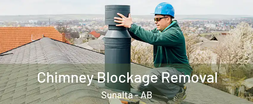  Chimney Blockage Removal Sunalta - AB