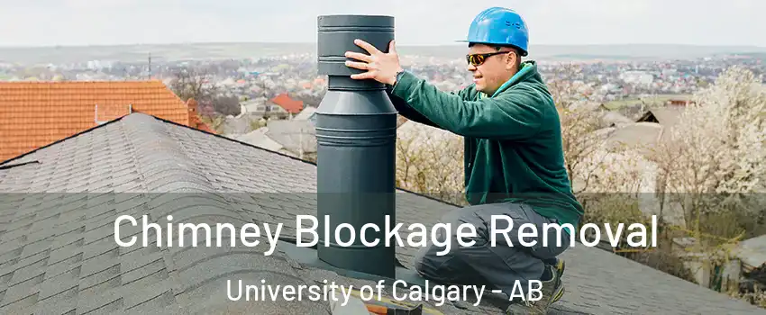  Chimney Blockage Removal University of Calgary - AB