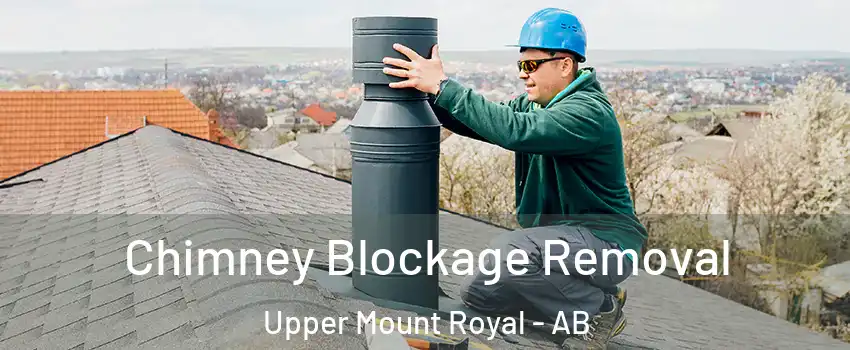  Chimney Blockage Removal Upper Mount Royal - AB