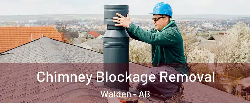  Chimney Blockage Removal Walden - AB