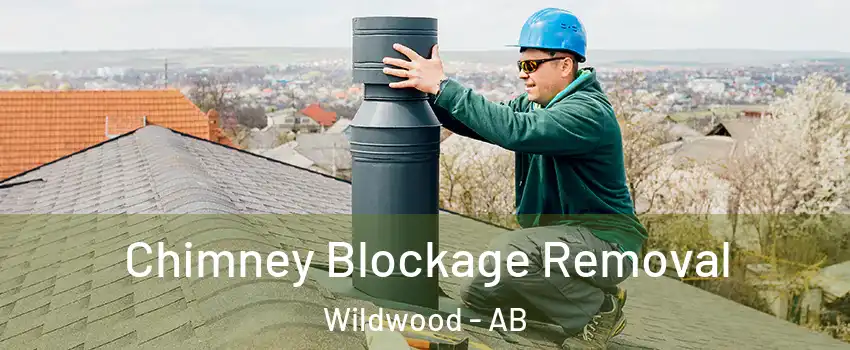  Chimney Blockage Removal Wildwood - AB