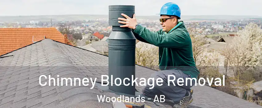  Chimney Blockage Removal Woodlands - AB