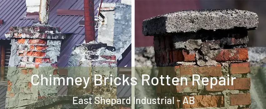  Chimney Bricks Rotten Repair East Shepard Industrial - AB