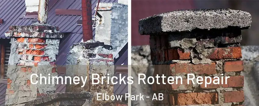  Chimney Bricks Rotten Repair Elbow Park - AB