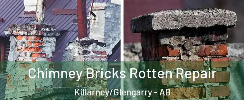  Chimney Bricks Rotten Repair Killarney/Glengarry - AB