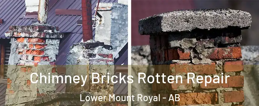  Chimney Bricks Rotten Repair Lower Mount Royal - AB