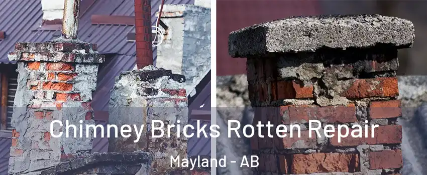  Chimney Bricks Rotten Repair Mayland - AB