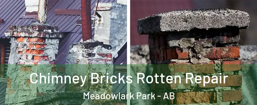  Chimney Bricks Rotten Repair Meadowlark Park - AB