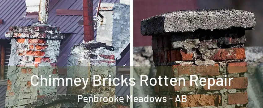 Chimney Bricks Rotten Repair Penbrooke Meadows - AB