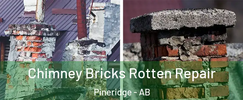  Chimney Bricks Rotten Repair Pineridge - AB