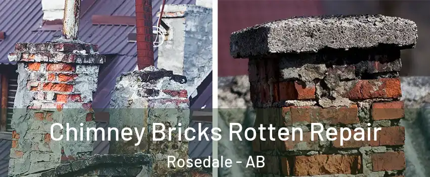  Chimney Bricks Rotten Repair Rosedale - AB
