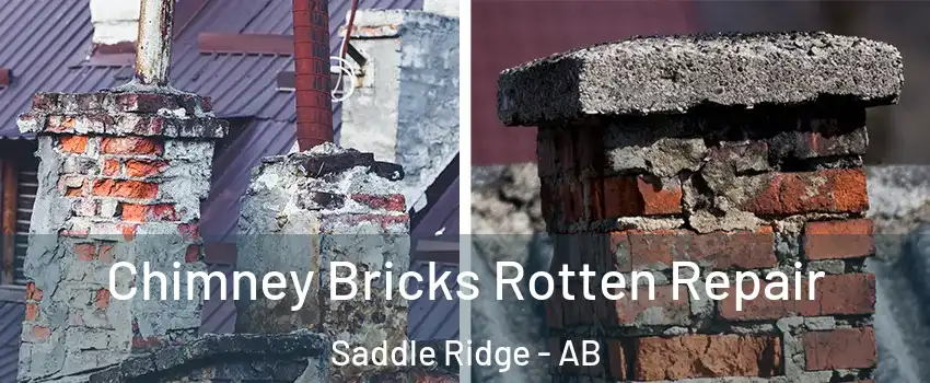  Chimney Bricks Rotten Repair Saddle Ridge - AB