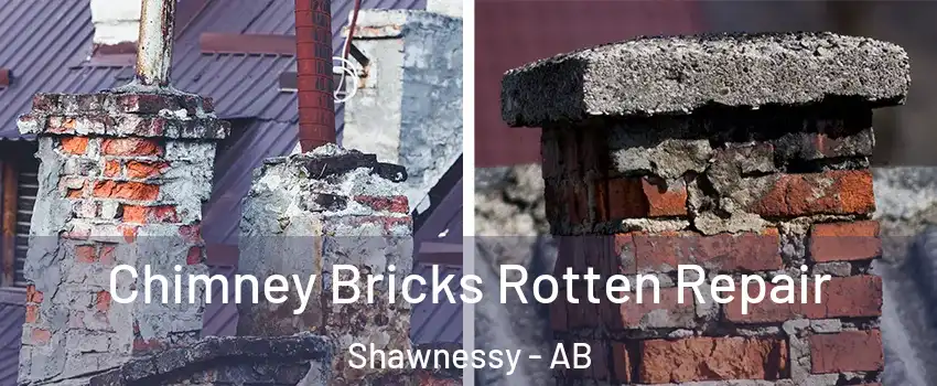  Chimney Bricks Rotten Repair Shawnessy - AB