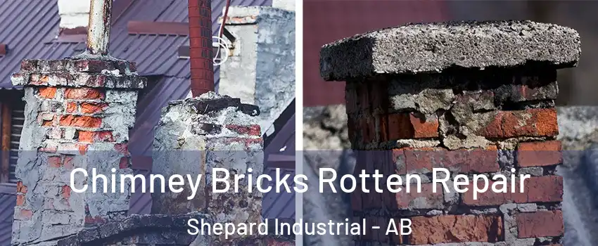  Chimney Bricks Rotten Repair Shepard Industrial - AB