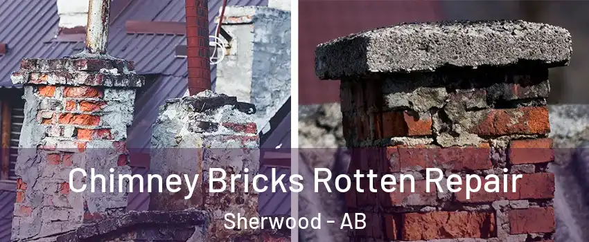  Chimney Bricks Rotten Repair Sherwood - AB