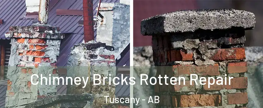  Chimney Bricks Rotten Repair Tuscany - AB