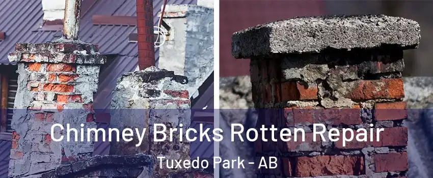  Chimney Bricks Rotten Repair Tuxedo Park - AB