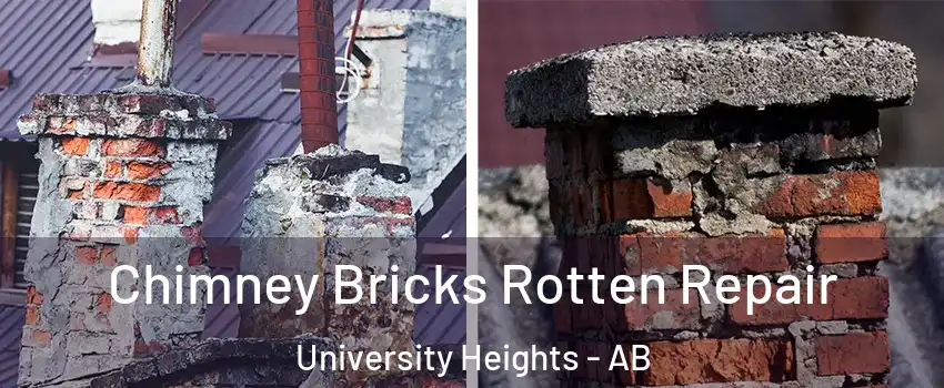  Chimney Bricks Rotten Repair University Heights - AB