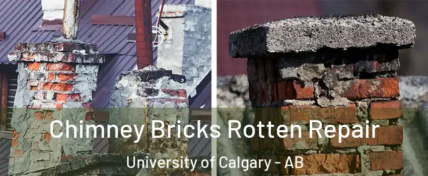  Chimney Bricks Rotten Repair University of Calgary - AB
