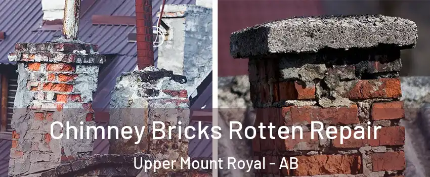  Chimney Bricks Rotten Repair Upper Mount Royal - AB