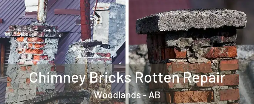  Chimney Bricks Rotten Repair Woodlands - AB