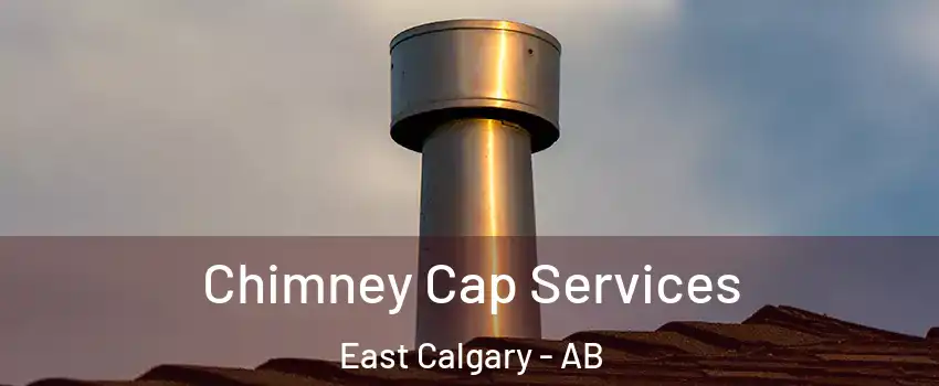  Chimney Cap Services East Calgary - AB