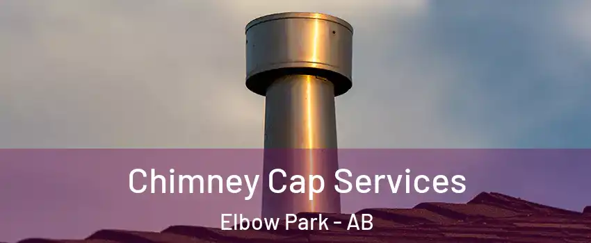  Chimney Cap Services Elbow Park - AB