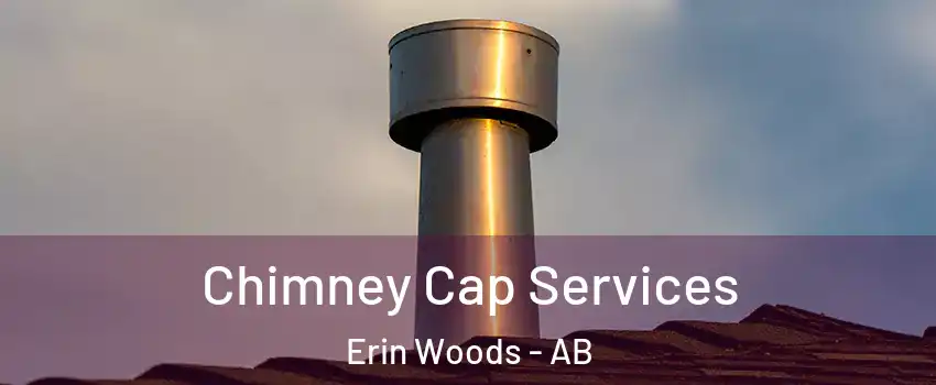  Chimney Cap Services Erin Woods - AB
