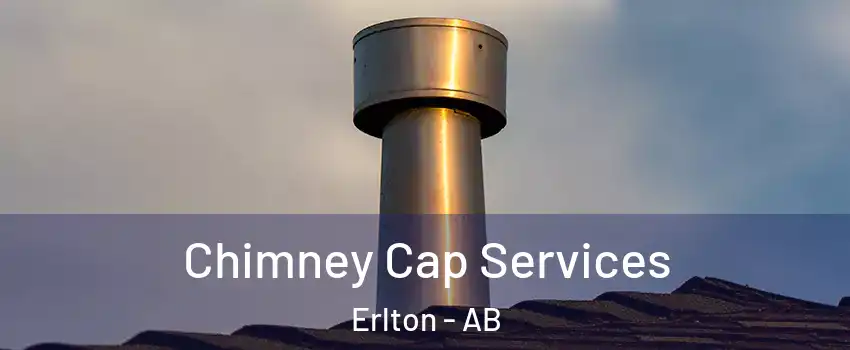  Chimney Cap Services Erlton - AB