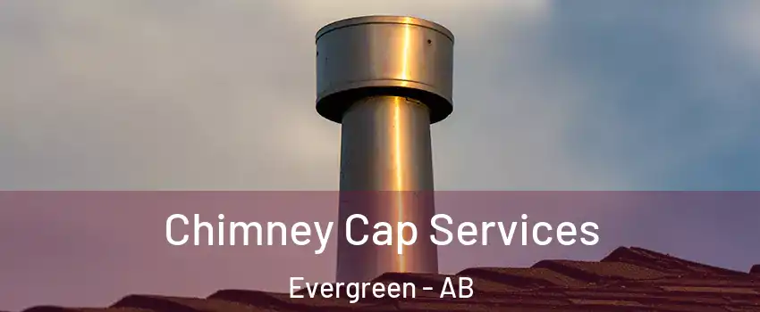  Chimney Cap Services Evergreen - AB