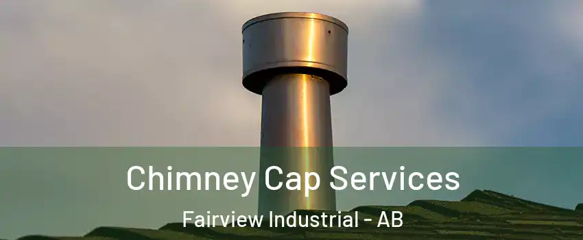 Chimney Cap Services Fairview Industrial - AB