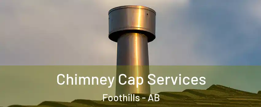  Chimney Cap Services Foothills - AB