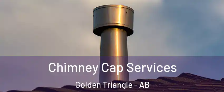  Chimney Cap Services Golden Triangle - AB