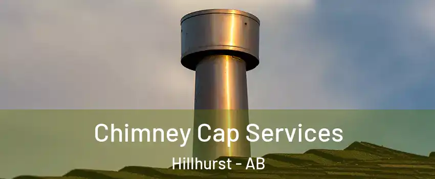  Chimney Cap Services Hillhurst - AB