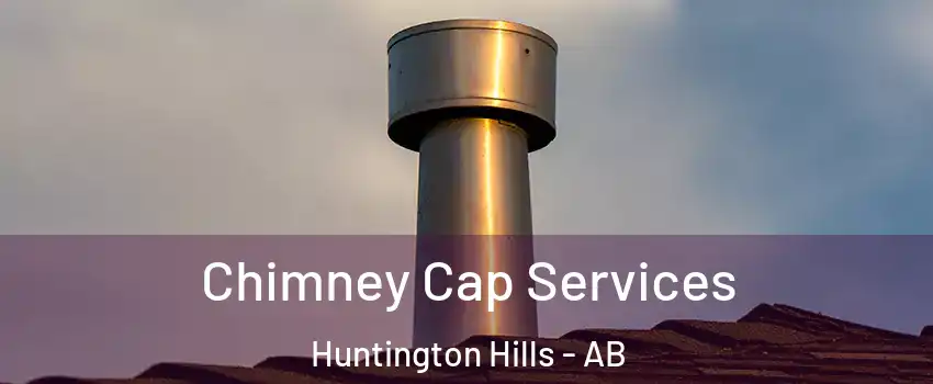  Chimney Cap Services Huntington Hills - AB