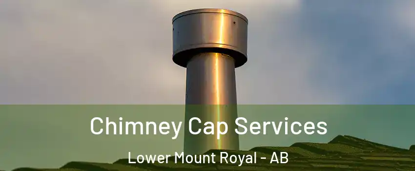  Chimney Cap Services Lower Mount Royal - AB