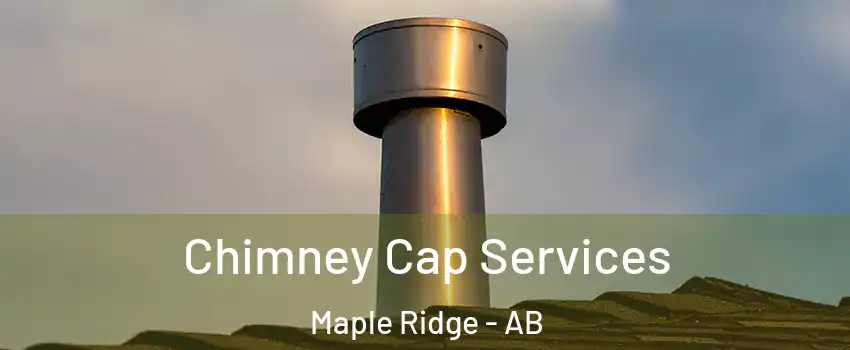  Chimney Cap Services Maple Ridge - AB