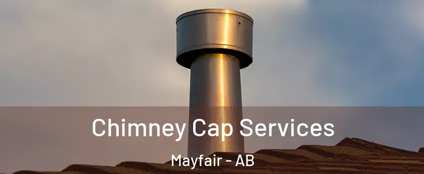  Chimney Cap Services Mayfair - AB