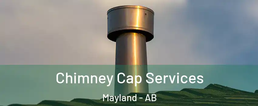  Chimney Cap Services Mayland - AB