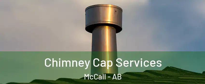  Chimney Cap Services McCall - AB