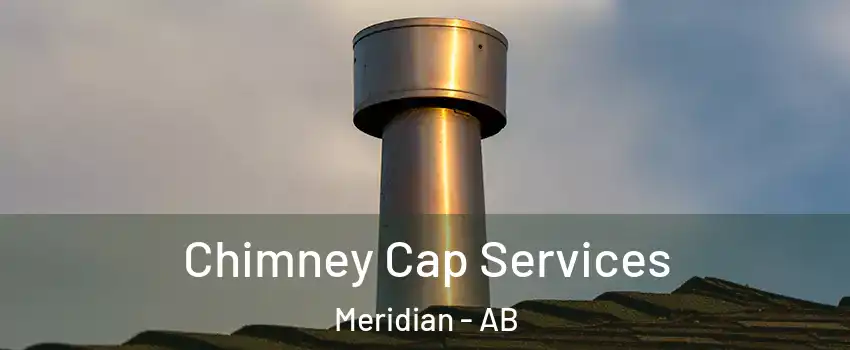  Chimney Cap Services Meridian - AB